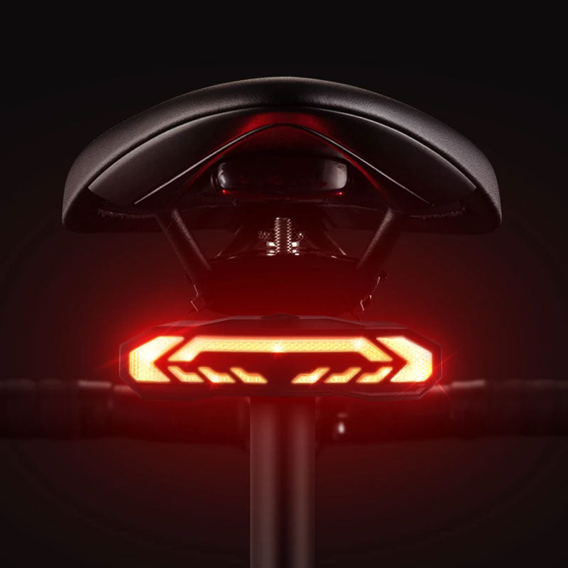 BikeSentry Tail Light Alarm