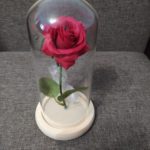 The Love Rose