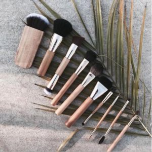 10 Piece Professional Makeup Brush Set