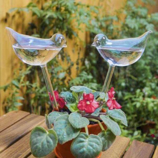 2 Pcs Self Watering Bulbs Plant Watering Spikes Aqua Globes