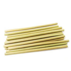 Bamboo Drinking Straws 10 Pack Reusable And Eco Friendly