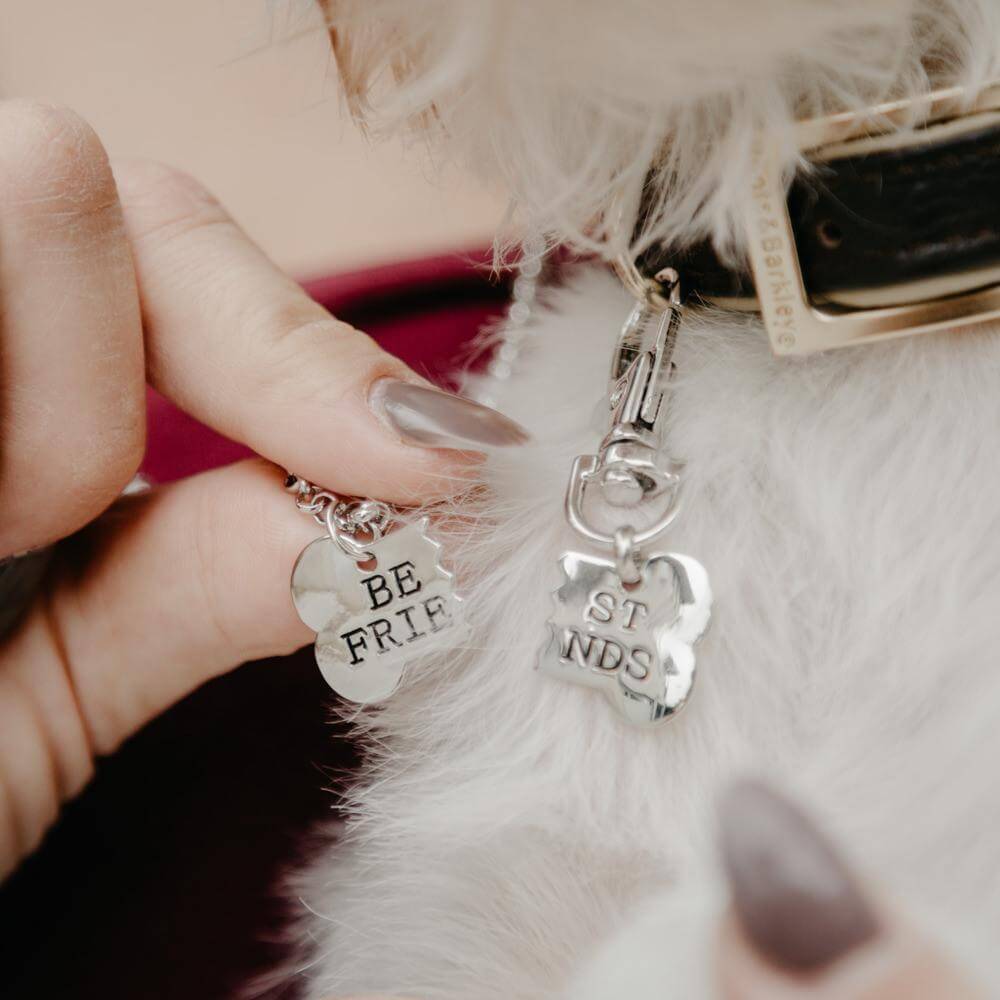 Best Friend Necklace For You Your Dog