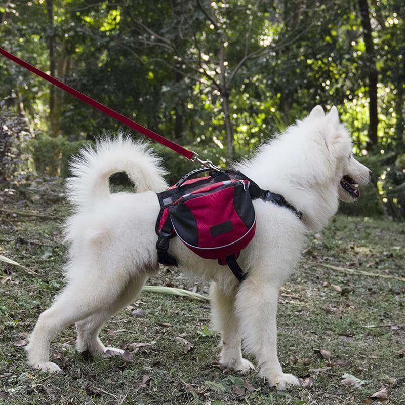 Britedoggy Outdoor Dog Backpack