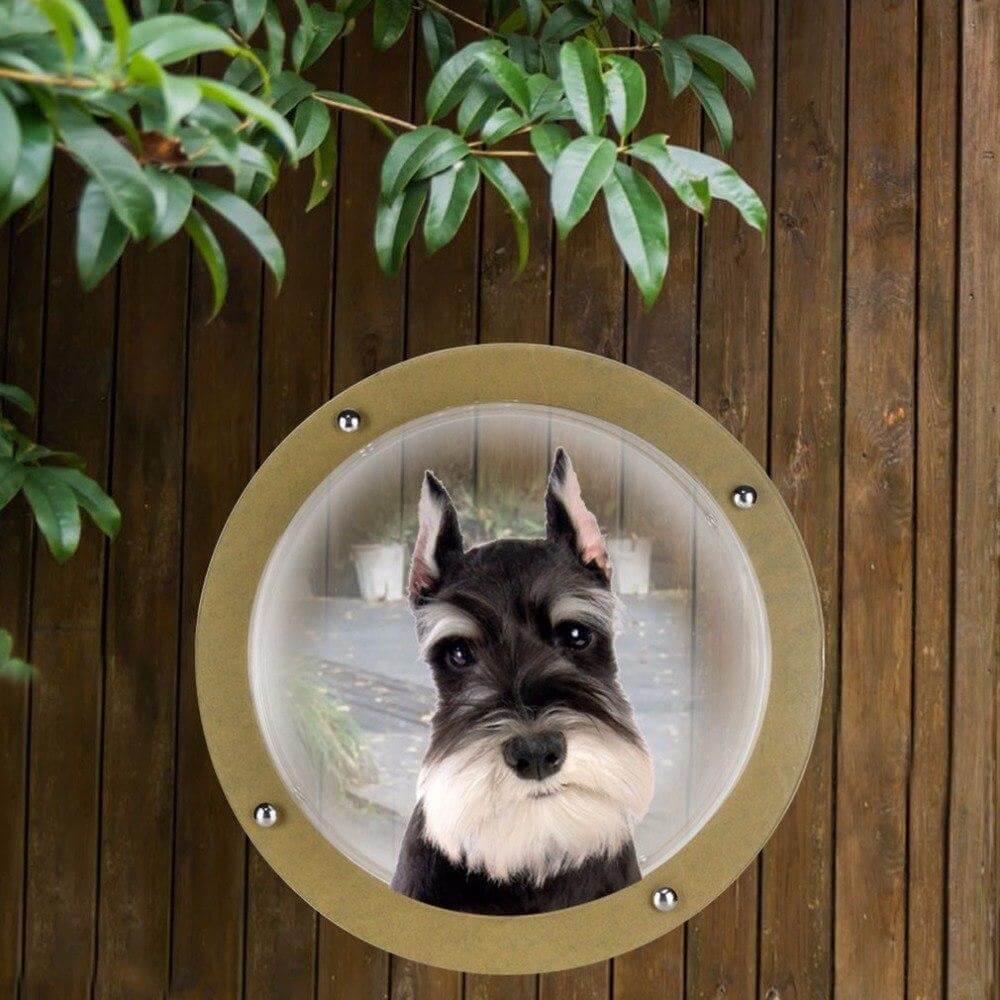 Bubble Window Dog Fence Window Pet Cats Durable Acrylic Dome Window