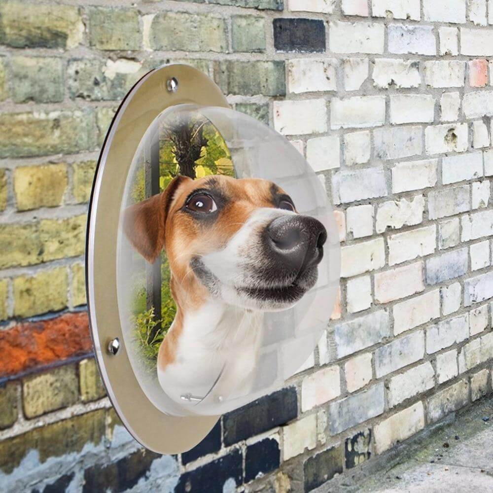 Bubble Window Dog Fence Window Pet Cats Durable Acrylic Dome Window