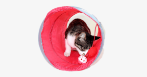 Cat Tunnel Foldable Polyester Fabric Pet Tube Tent Fun Tool Passageway With Ring Bell