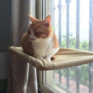 Cat Window Hammock Cushion Bed Hanging Shelf Perch Seat