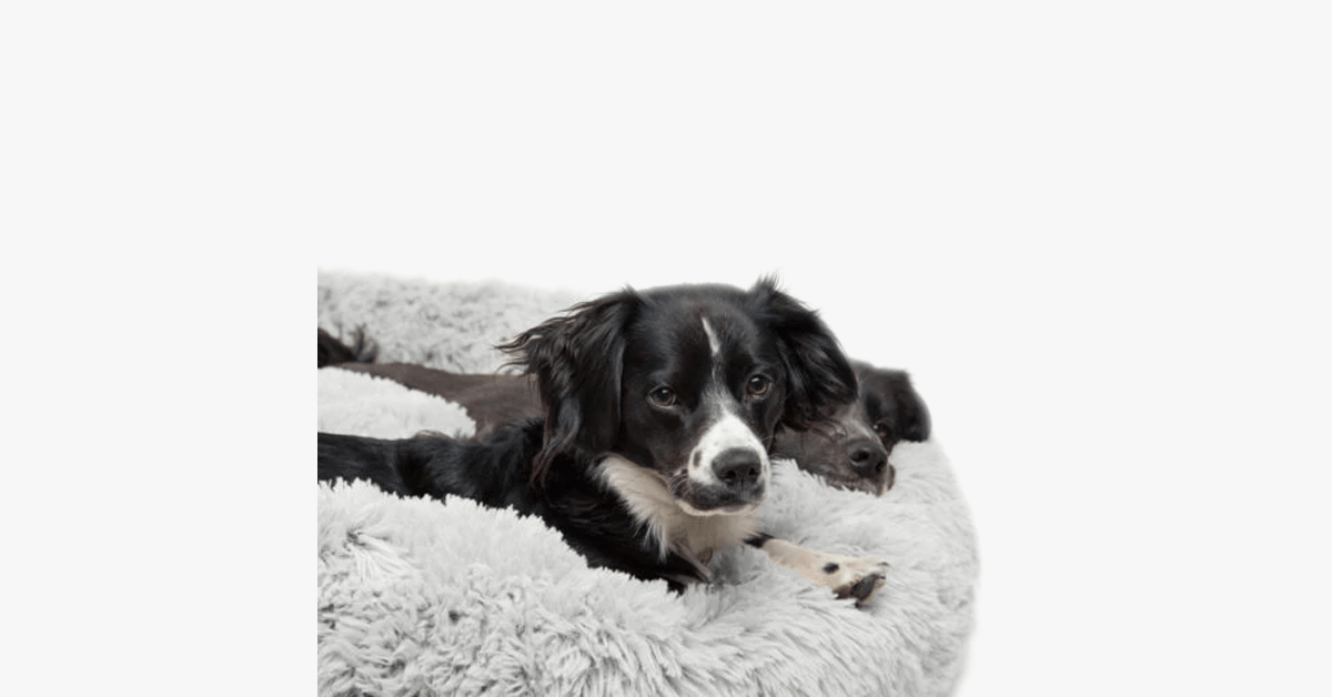 Comfy Furry Faux Bed