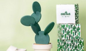 Diy Your Own Cactus Have Fun With Cup Mats