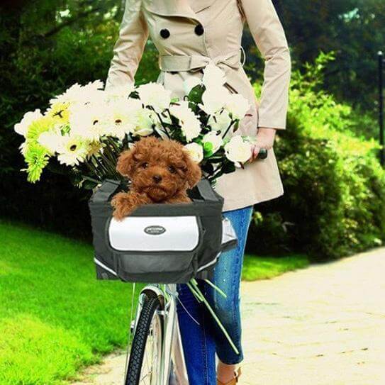 Dog Bicycle Basket Bike Pet Dog Carrier Bicycle Carrier