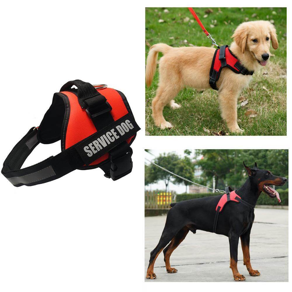 Dog Harness Handle No Pull Dog Harness Dog Vest Puppy Harness