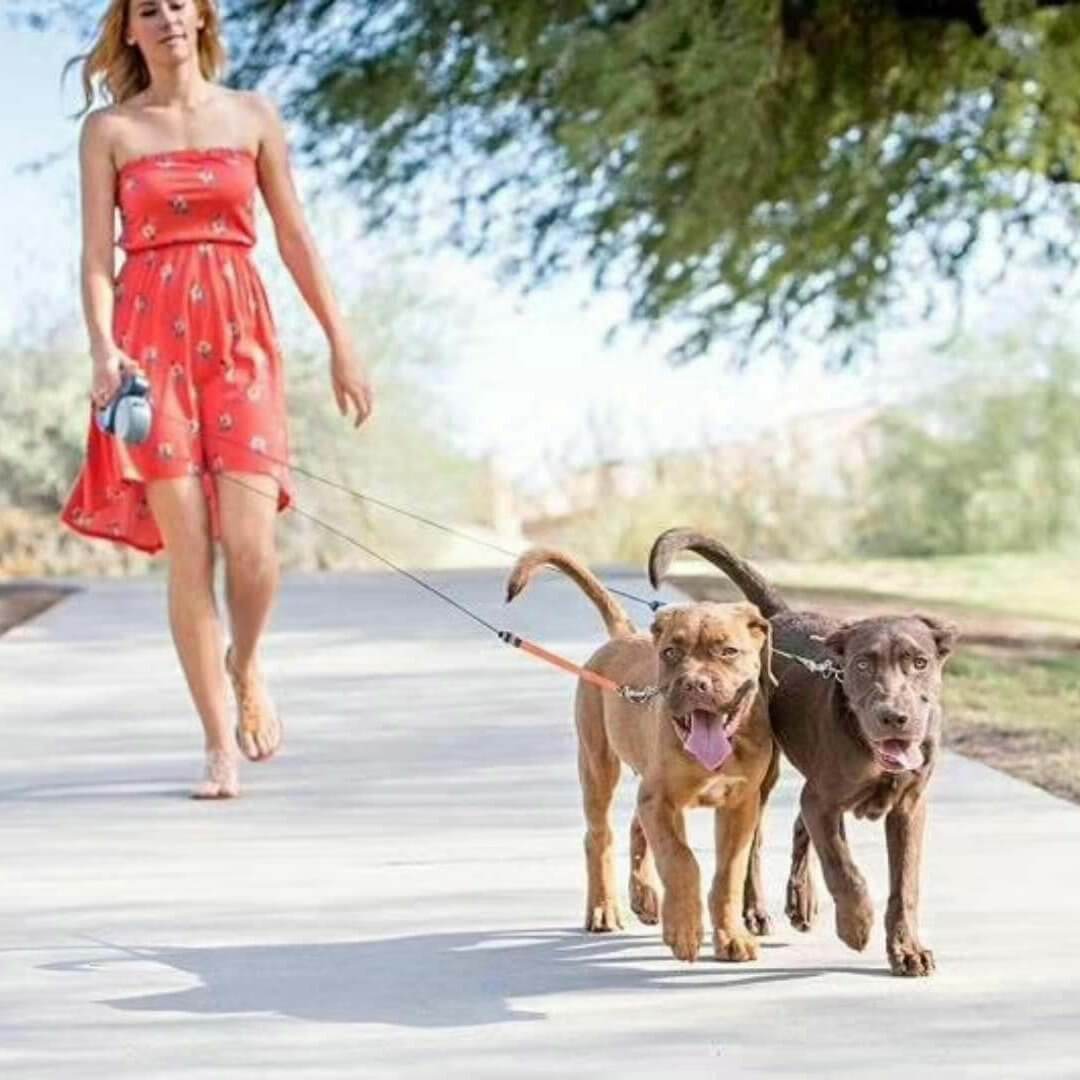 Dog Leash Retractable Dual Walking Leash Color Coded Brake
