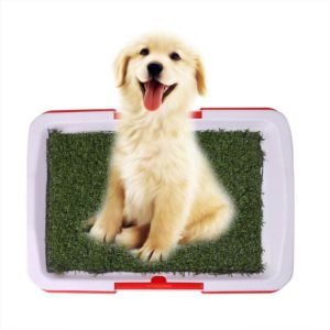 Dog Potty Pads Indoor Pet Dog Potty Training Grass Mat Pad