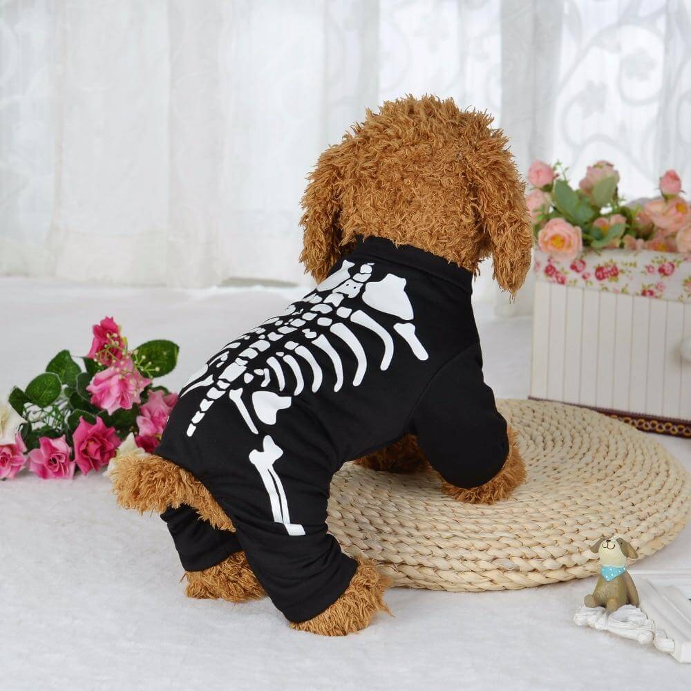 Dog Skeleton Costume Dog Puppy Halloween Costumes Cute Funny
