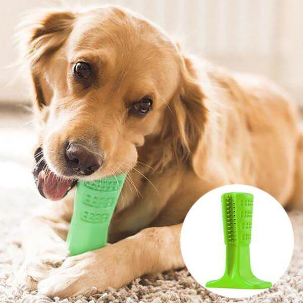Dog Toothbrush Toothpaste Dog Dental Care Teeth Cleaning
