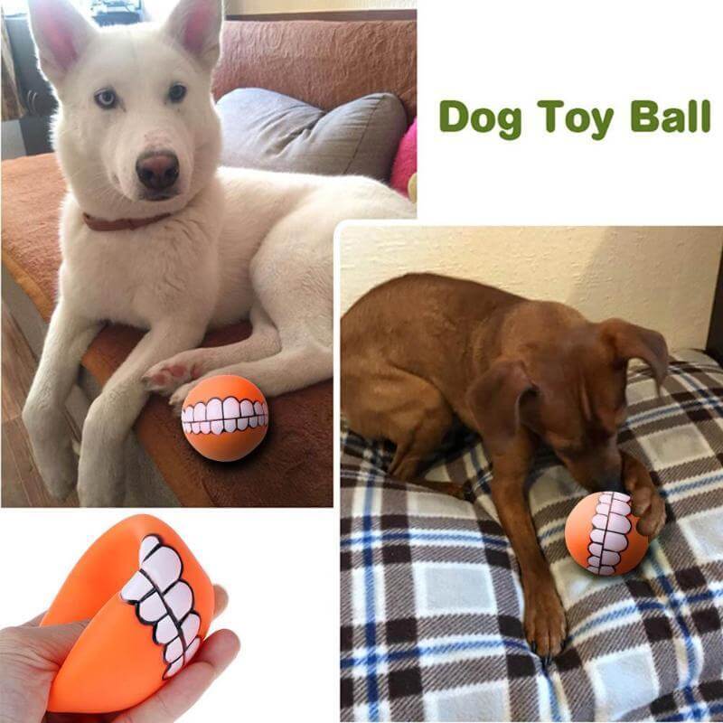 Dog Toy Ball With Teeth