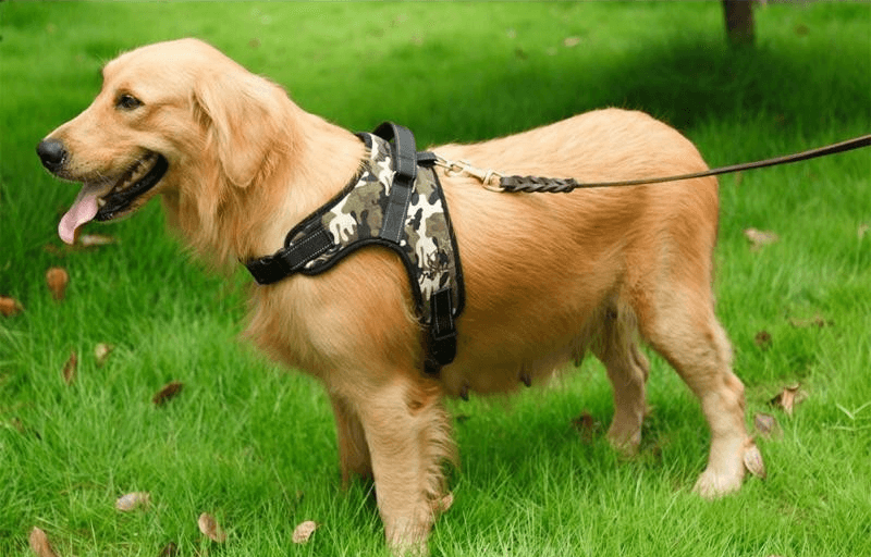 Dog Vest Harness