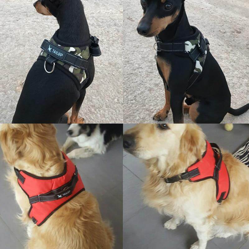 Dog Vest Harness