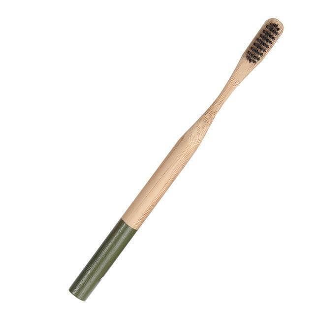 Eco Friendly Toothbrush