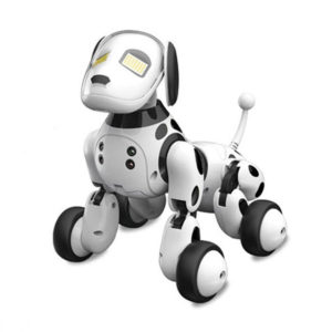 Educational Toy Robot