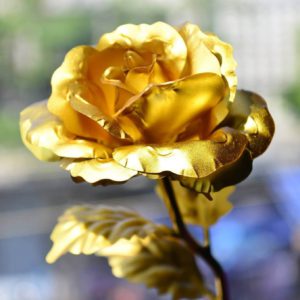 Everlasting Gold Rose With Box