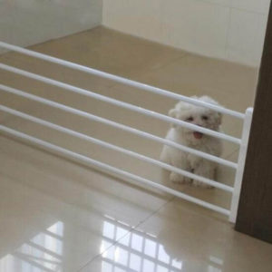 Expandable Retractable Isolating Baby Pet Safety Playpen Fence Gate