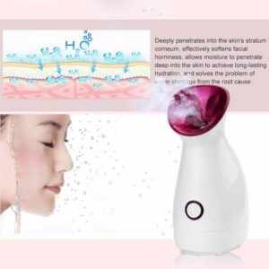 Facial Steamer Facial Sauna Pore Cleaning Ionic Facial Cleaner