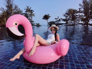 Flamingo Pool Float Inflatable Swimming Pool Giant Swan Float