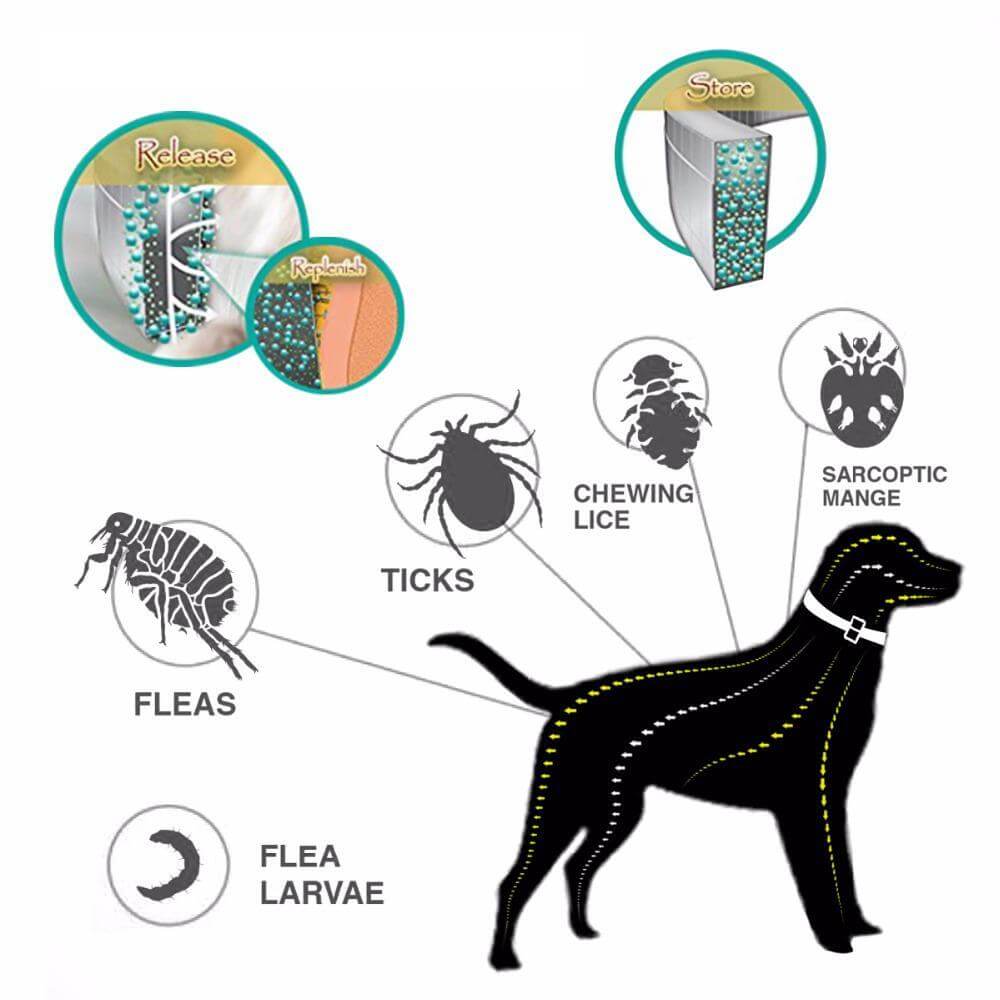 Flea Collar Tick Collar Lice Prevention Dogs 8 Month Seresto Collar