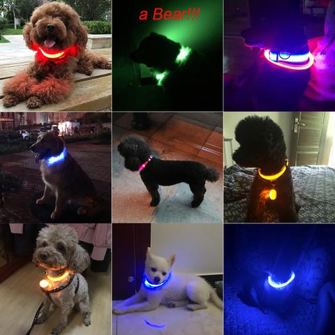 Glowing LED Dog Collar Light