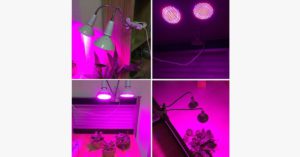 Indoor Plant Grow Light