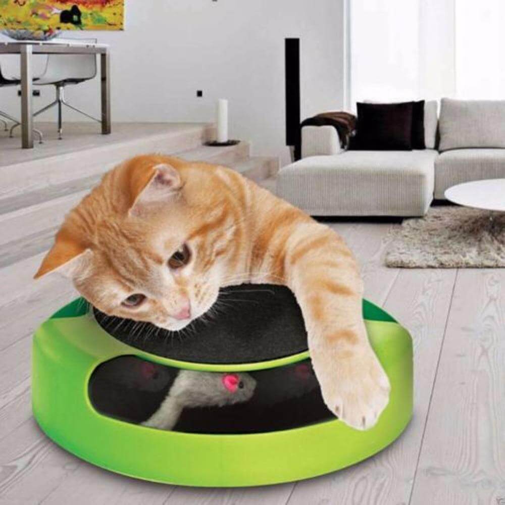 Interactive Cat Toys Catch Mouse Moving Cat Toy Training Toy