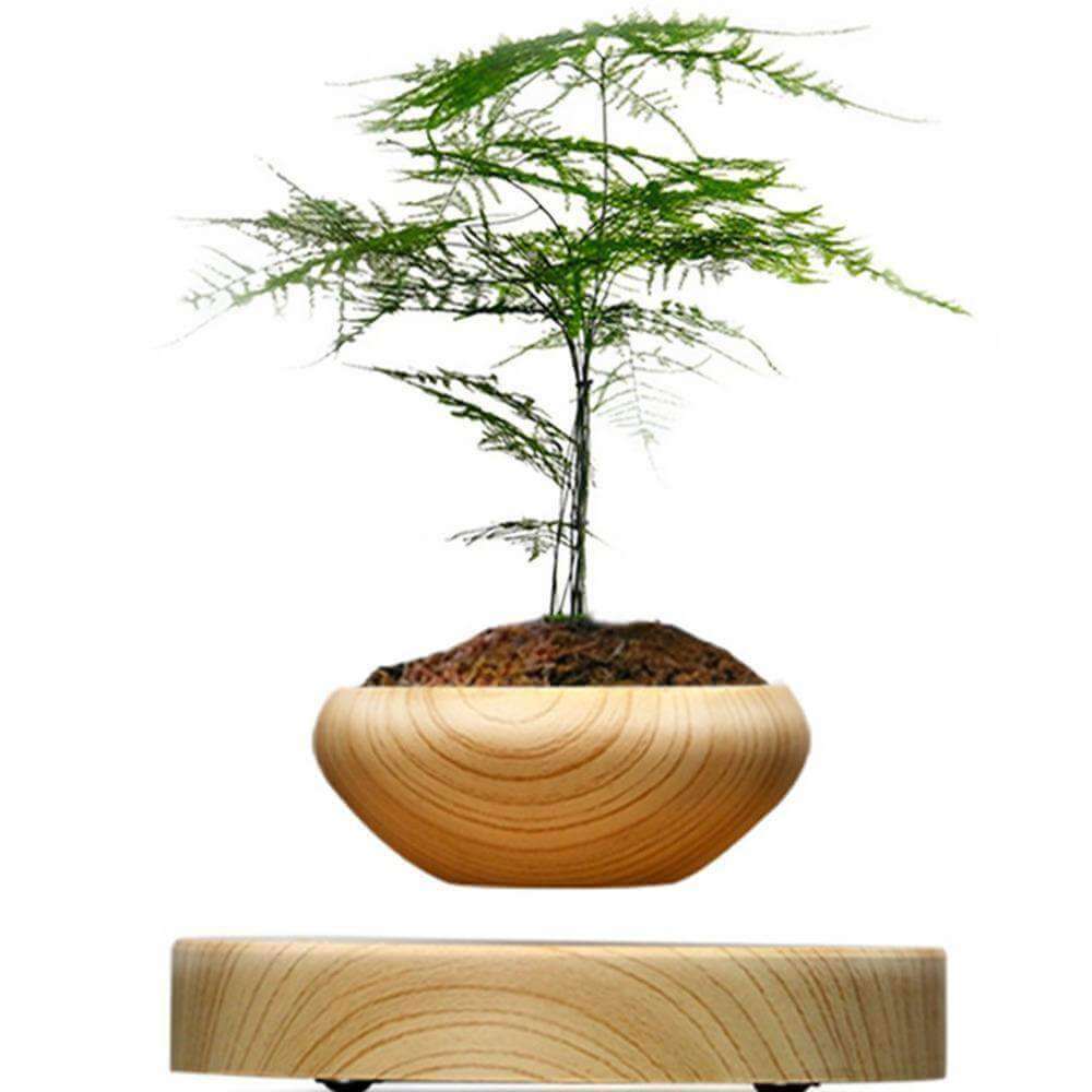 Levitating Indoor Plant Pot