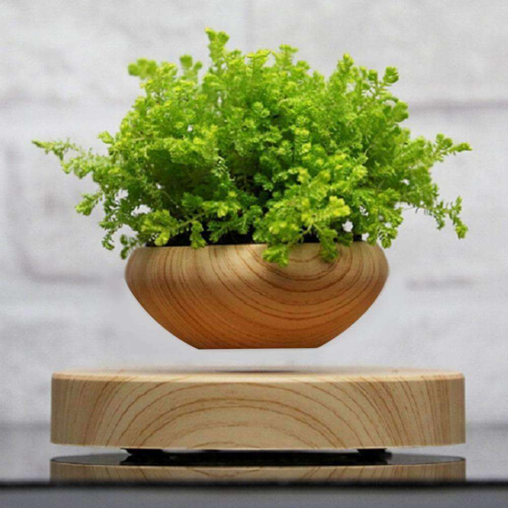 Levitating Indoor Plant Pot