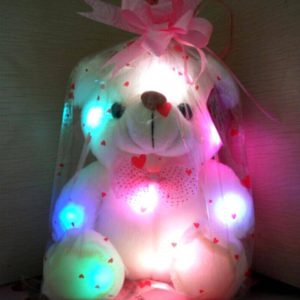 Light Up Teddy Bear Led Stuffed Bear Plush Toy