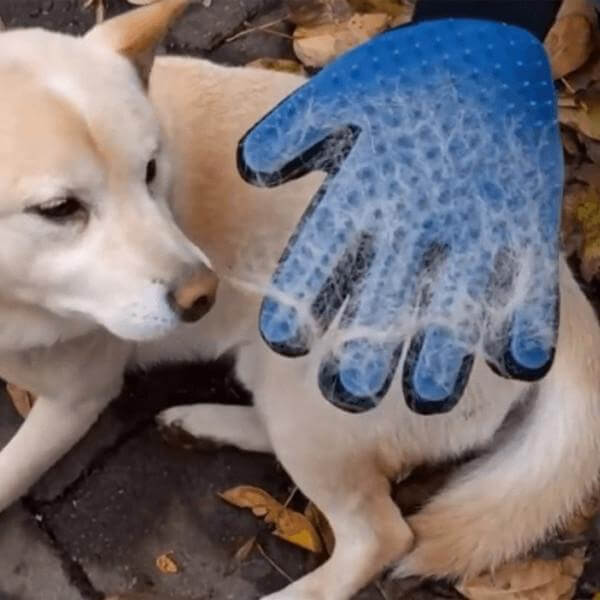 Magical Pet Touch Grooming Gloves