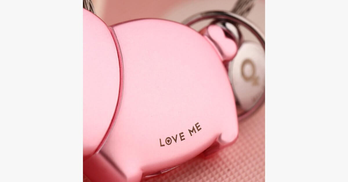 Pig Key Ring For Lovers With Free Gift Box
