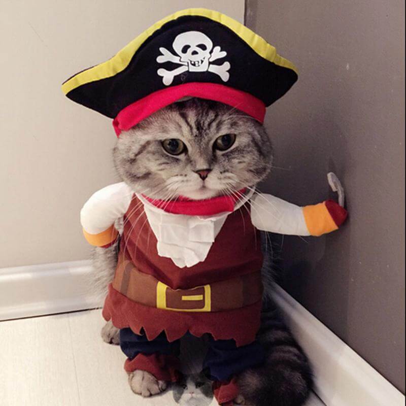 Pirate Costume Funny Cat Suit Corsair Cosplay Pet Clothes