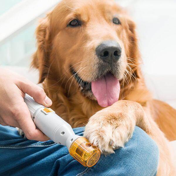 Premium Painless Nail Clipper For Pets All Size Dogs Cats