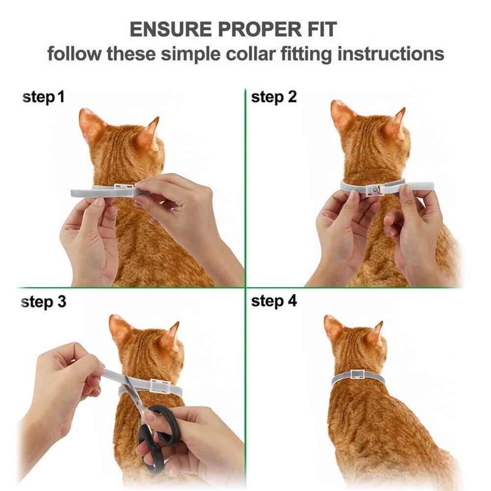 Pro Guard Flea And Tick Collar For Cats