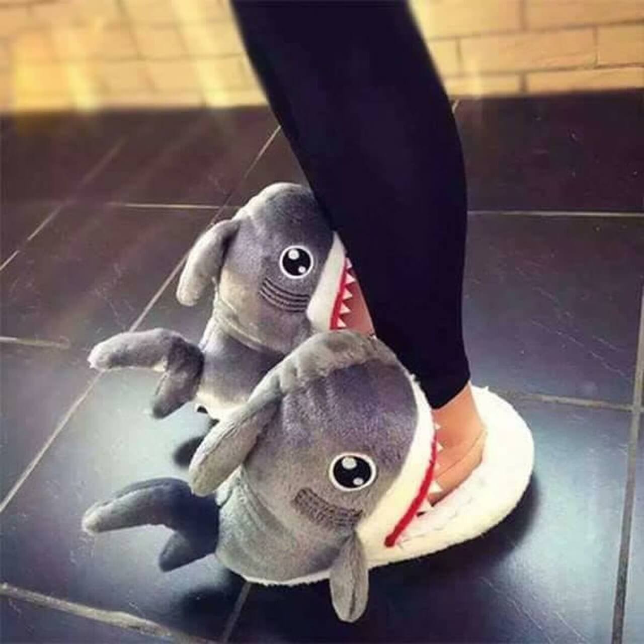 Shark Slippers