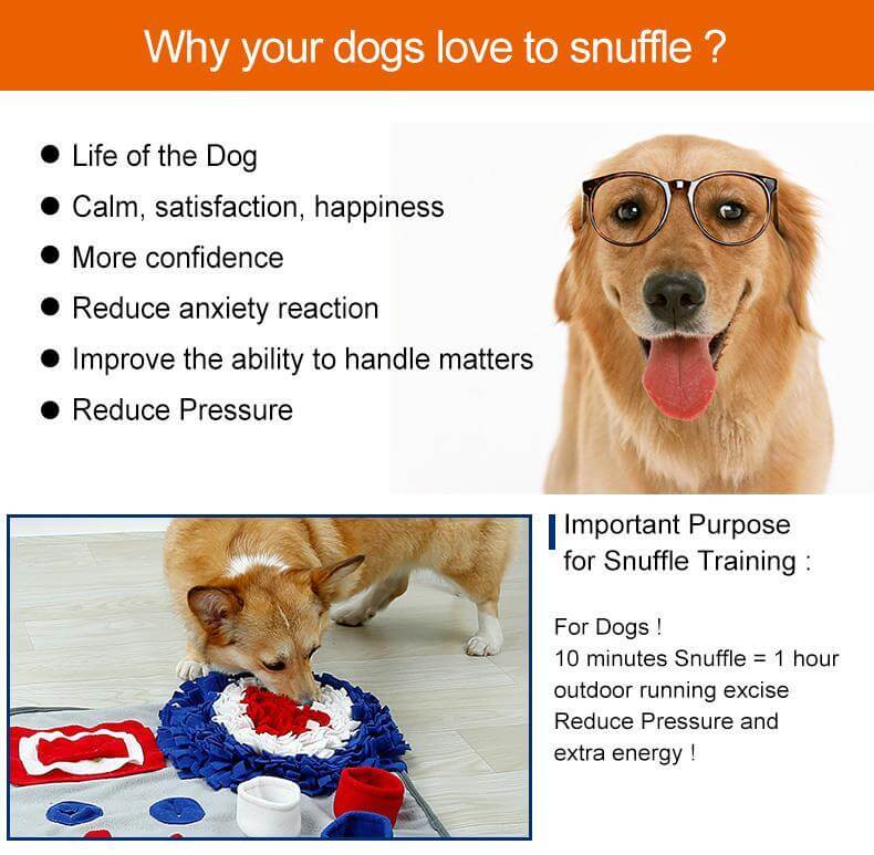 Snuffle Mat Dogs Puppy Games Training Mat Pet Activity Blanket
