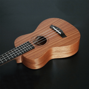 Ukulele Guitar