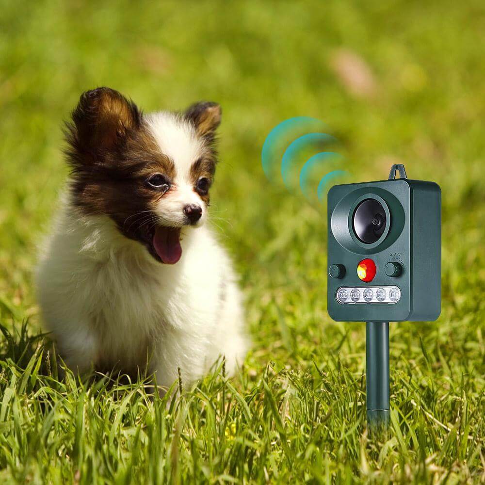 Ultrasonic Animal Repeller Solar Electronic Squirrel Rodent Repellent