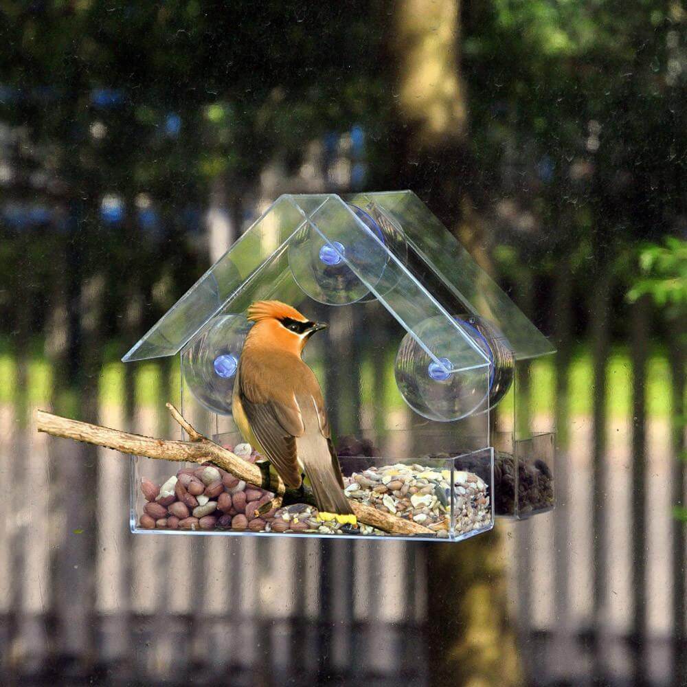 Window Mounted Bird Feeder Window Bird House