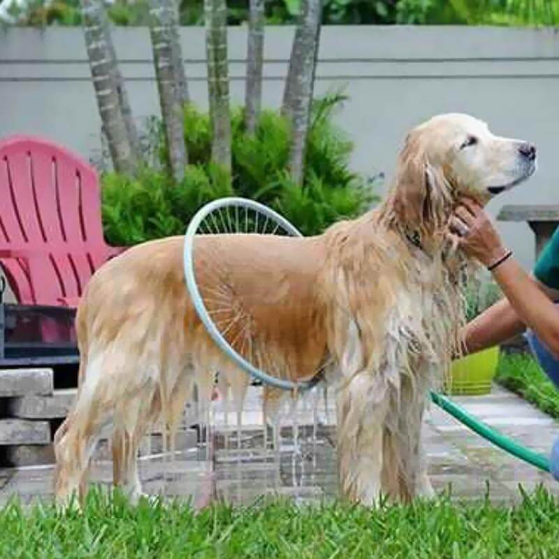 Woof Washer 360 Dog Washer Adjustable Quick Bathing Cleaner