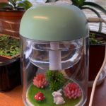 Aroma Cloud - Little Garden Diffuser