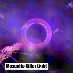 Bug & Mosquito Zapper Lamp