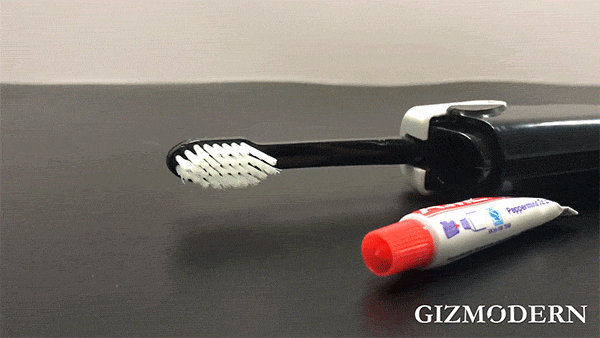 2-in-1 Travel Toothbrush & Toothpaste for People on the Go