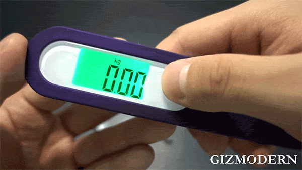 Digital Pocket Scale with LCD Display – Weigh Stuff Anywhere Anytime